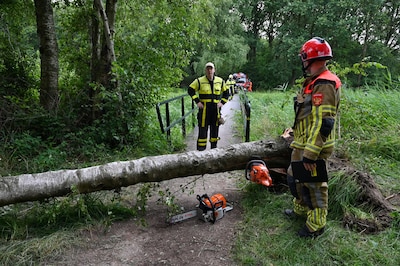 Omgevallen boom blokkeert fietsbrug in Haaren, kettingzaagactie loopt vast