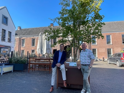 Woerden plaatst zes tijdelijke bomen op Kerkplein