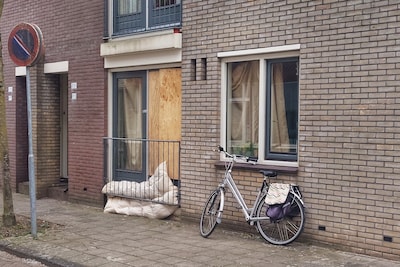 Image related to the article