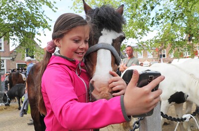 Wat zijn de aanraders tijdens het Paardenmarktweekend Heenvliet?