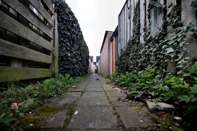 In Deurne wemelt het van de ratten: experts willen nu zelfs camera’s ophangen in twee straten