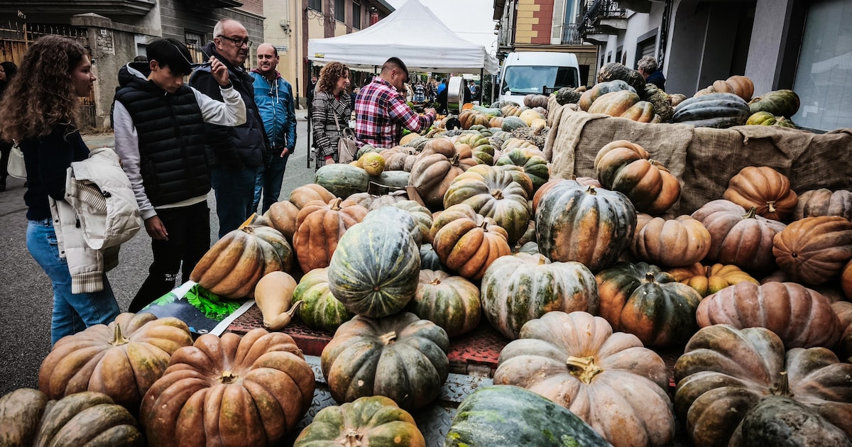 Herfstmarkt bij Natuurboerderij in Nieuwleusen
