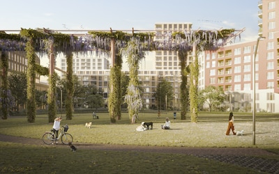 Image related to the article