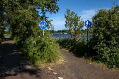Image related to the article