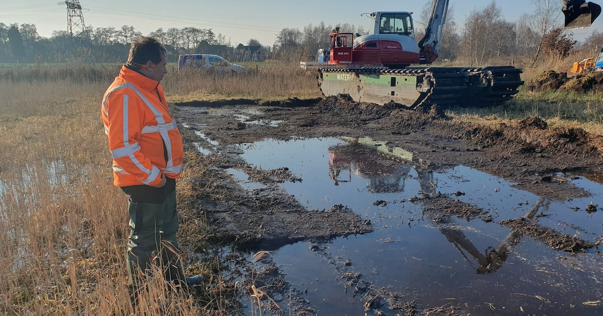 Werkzaamheden voor laagveenherstel gestart in Harener Wildernis en Oosterpolder