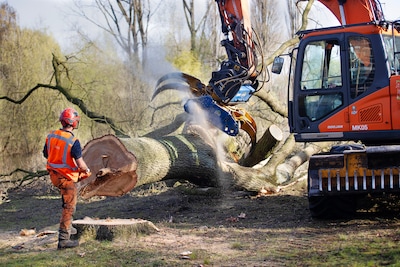 Image related to the article