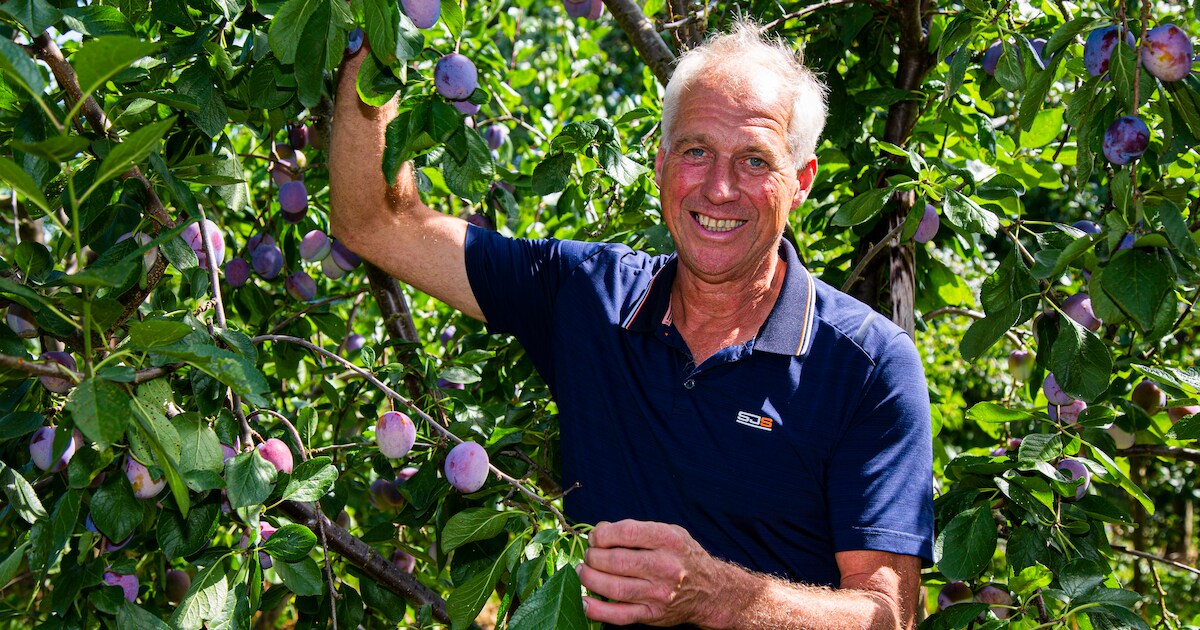 De Stokhorst in Groessen tweede in verkiezing van beste boerderijwinkel van Nederland