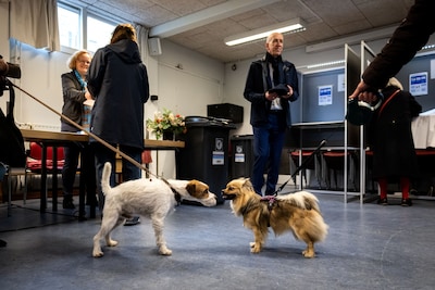 Image related to the article