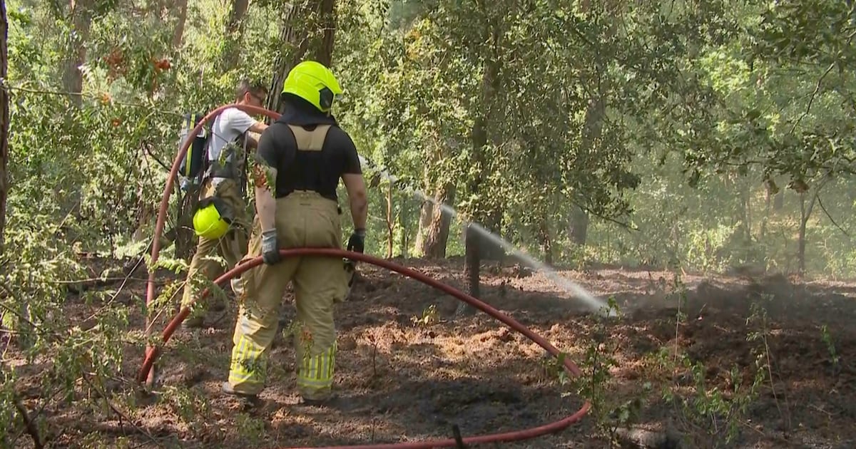 Natuurbrand in Bergen, brandweer zet groots in