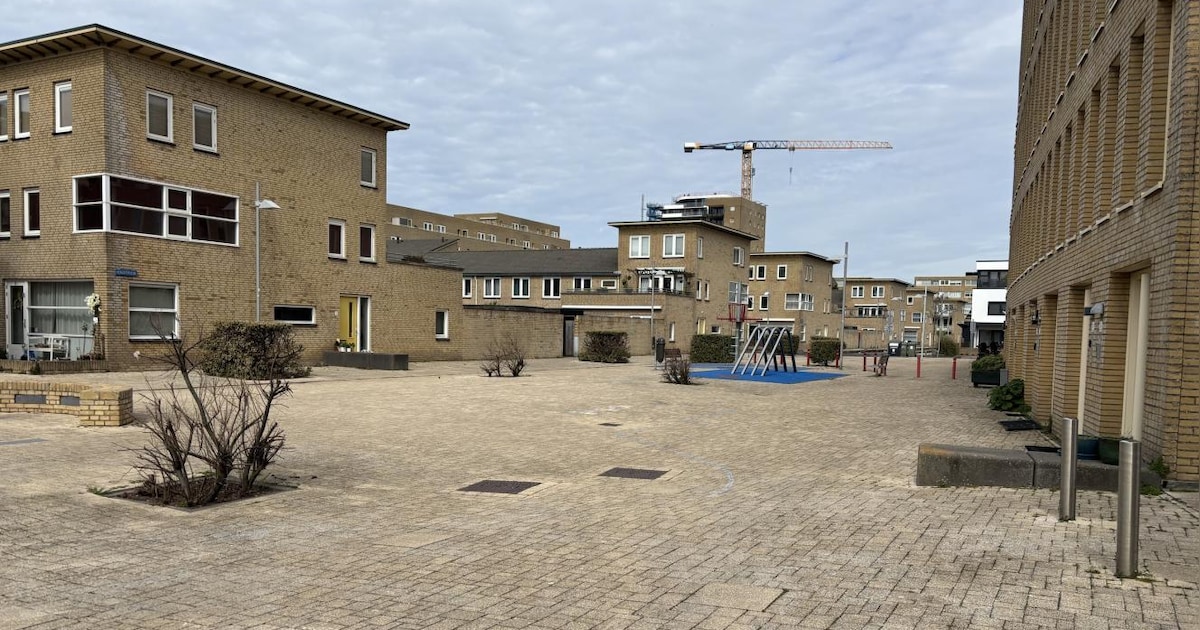 Vergroening Verzetsplein in Zandvoort krijgt vorm