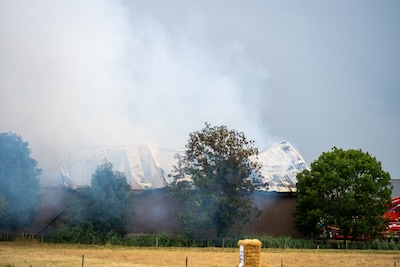 Vijf stieren omgekomen bij uitslaande brand in stal, NL-Alert voor inwoners Zevenbergen vanwege rook