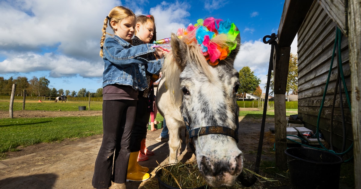 Paardenparadijs in Valkenswaard houdt beleefdag met rondleidingen en workshops