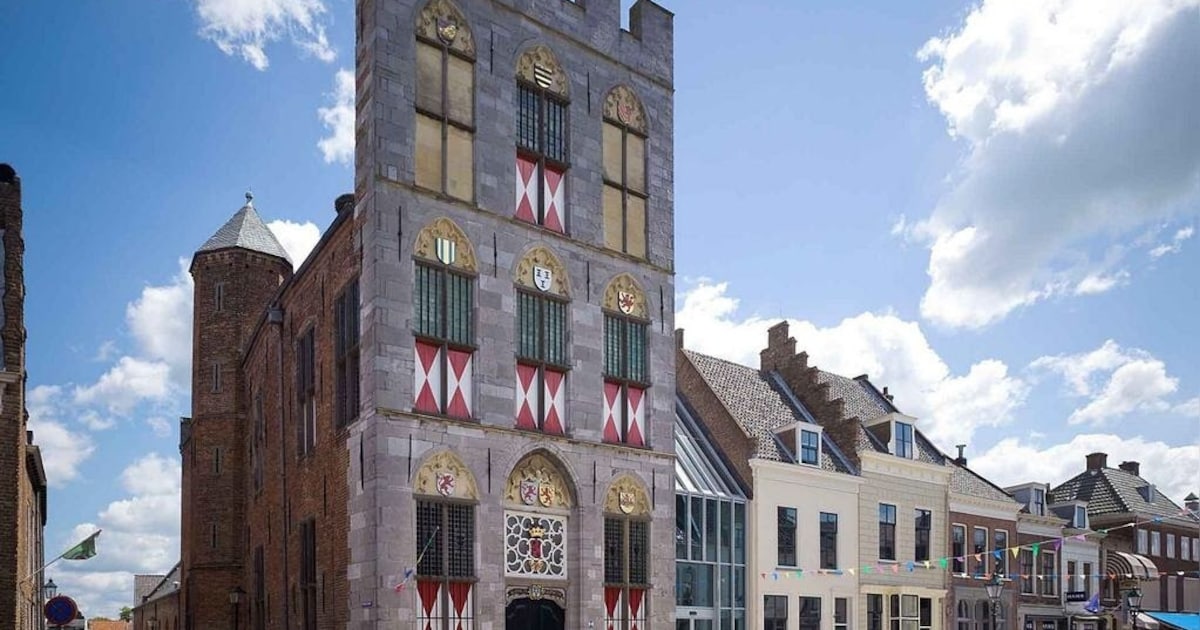 Stedelijk Museum Vianen verhuist naar monumentaal stadhuis, Burgerzaal blijft in gebruik als trouwza