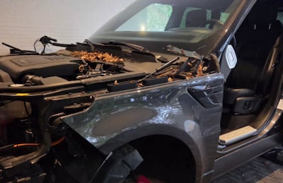 Auto kaalgeplukt bij woning in Waalre: dieven nemen zelfs portieren mee