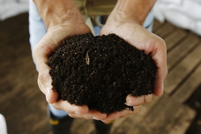 Image related to the article