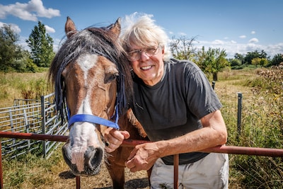 Mysterie rond verdwenen pony Sjaam eindelijk opgelost: ‘We zijn verbijsterd’