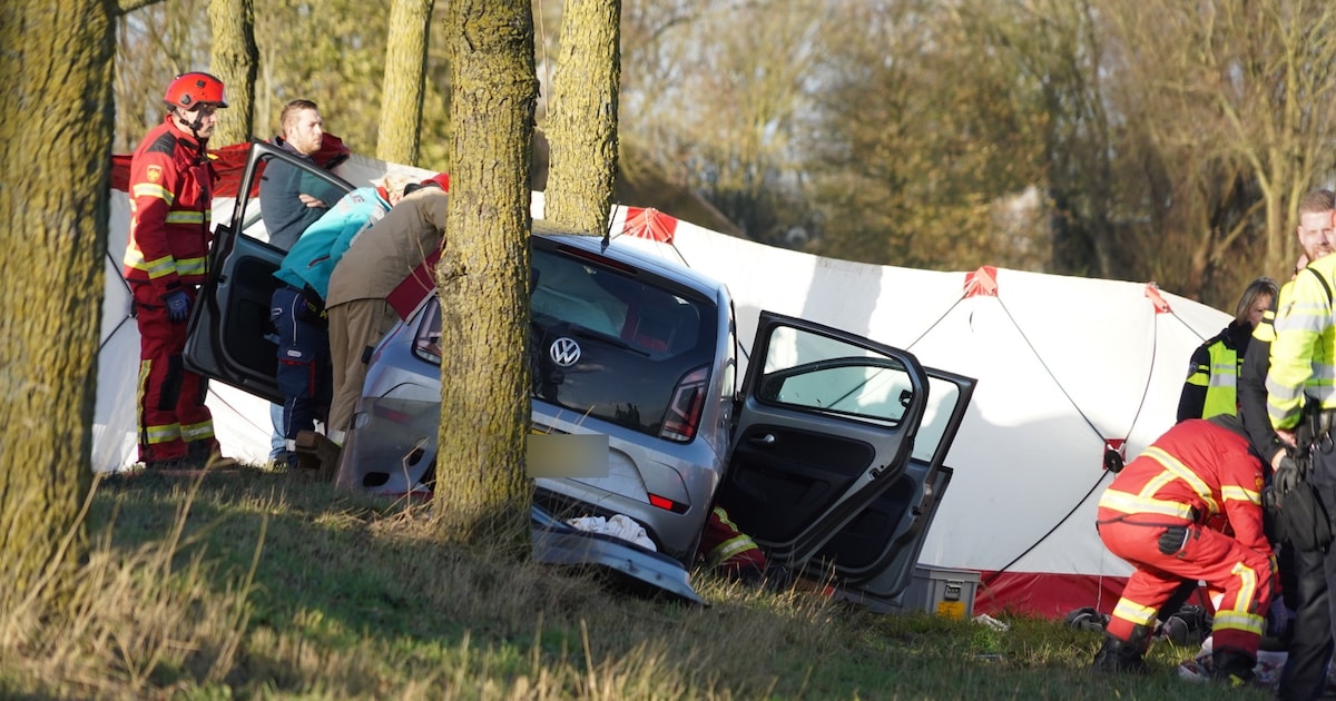 Twee ernstig gewonden na ongeluk in Den Ham