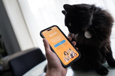 Instagram, Facebook, Snapchat and TikTok are in the doghouse, and Hyves is cleverly capitalizing on it