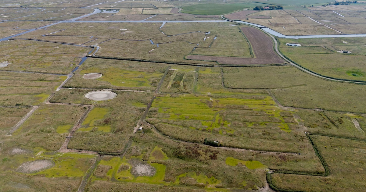 Yerseke Moer uitgeroepen tot Icoonlandschap