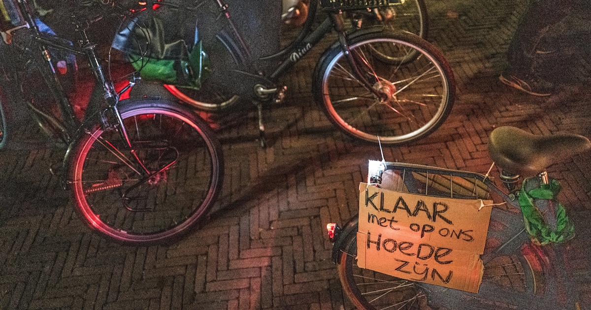 Avondwandeling Nacht van de Nacht start in Bladel bij PHV Bladel