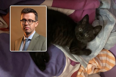 GAIA dient klacht in nadat katje Zorro wordt opgehangen in Essen: “Qua barbarij behoort dit tot de t