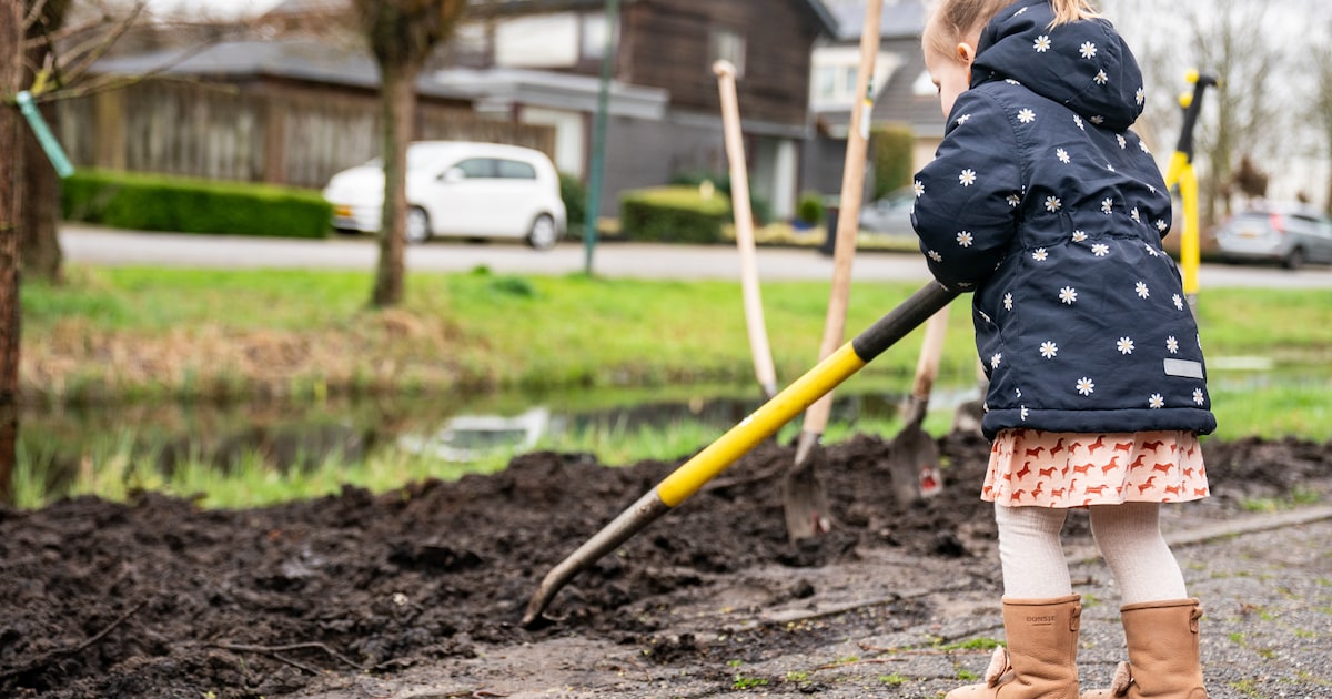 Gemeente geeft gratis bomen, struiken en vergroeningspakketten weg