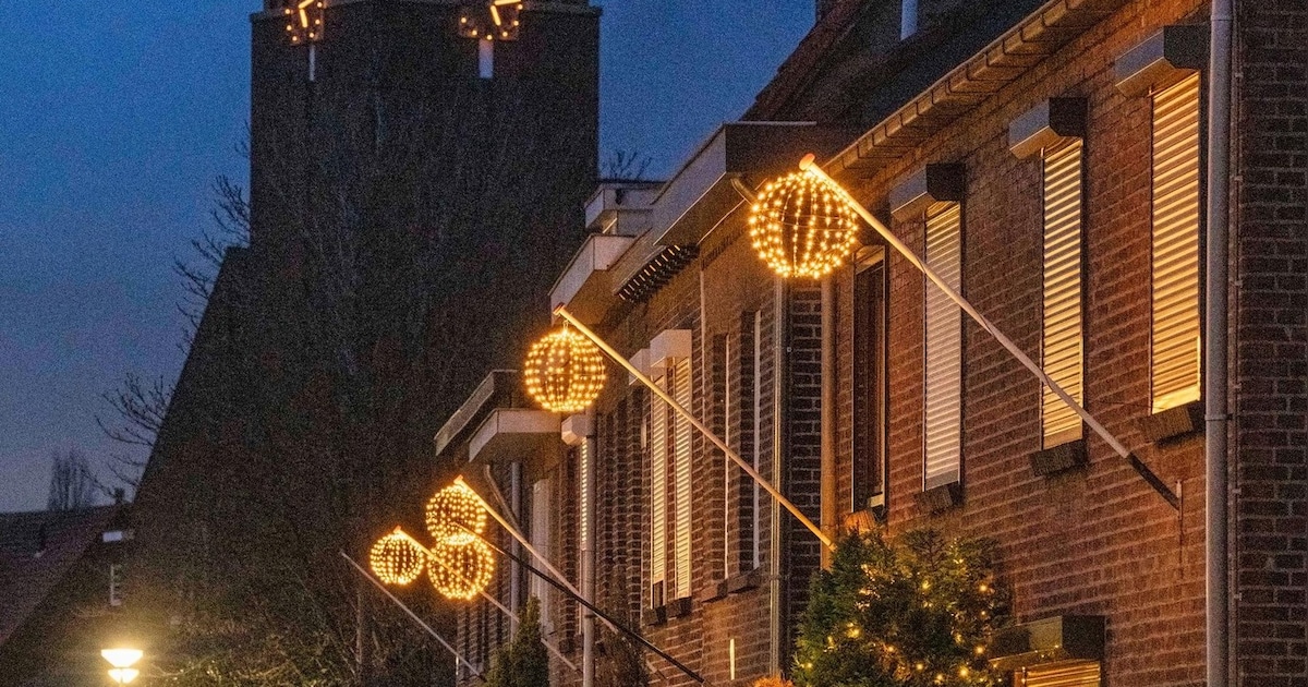 Ophaaldata kerstbomen: maandag 19 januari en 26 januari op diverse plekken