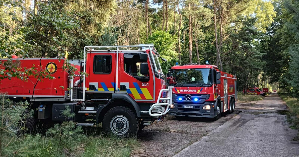 Belgische en Nederlandse brandweer werken samen bij natuurbrand op grens Arendonk-Reusel