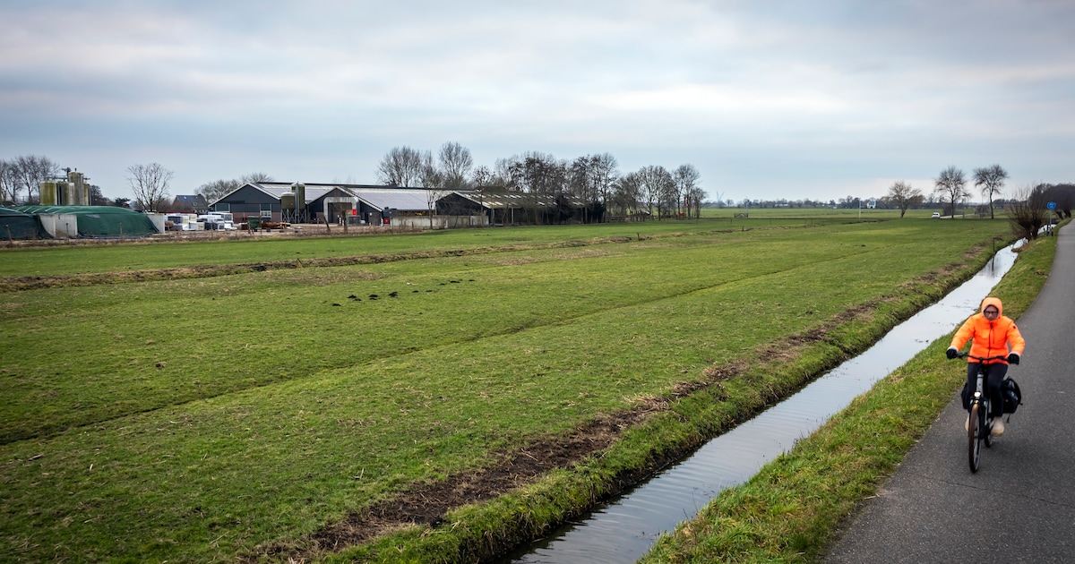 Historische verenigingen zien kreekruggen en sloten verdwijnen en willen weer meedenken over beleid