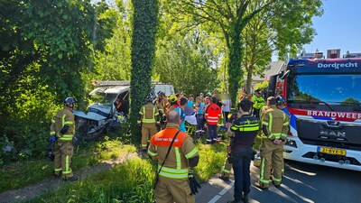 Bestuurder bedrijfsbus bekneld na botsing tegen boom op de Provincialeweg in Dordrecht