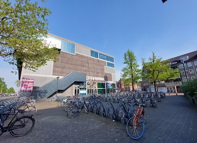 Image related to the article