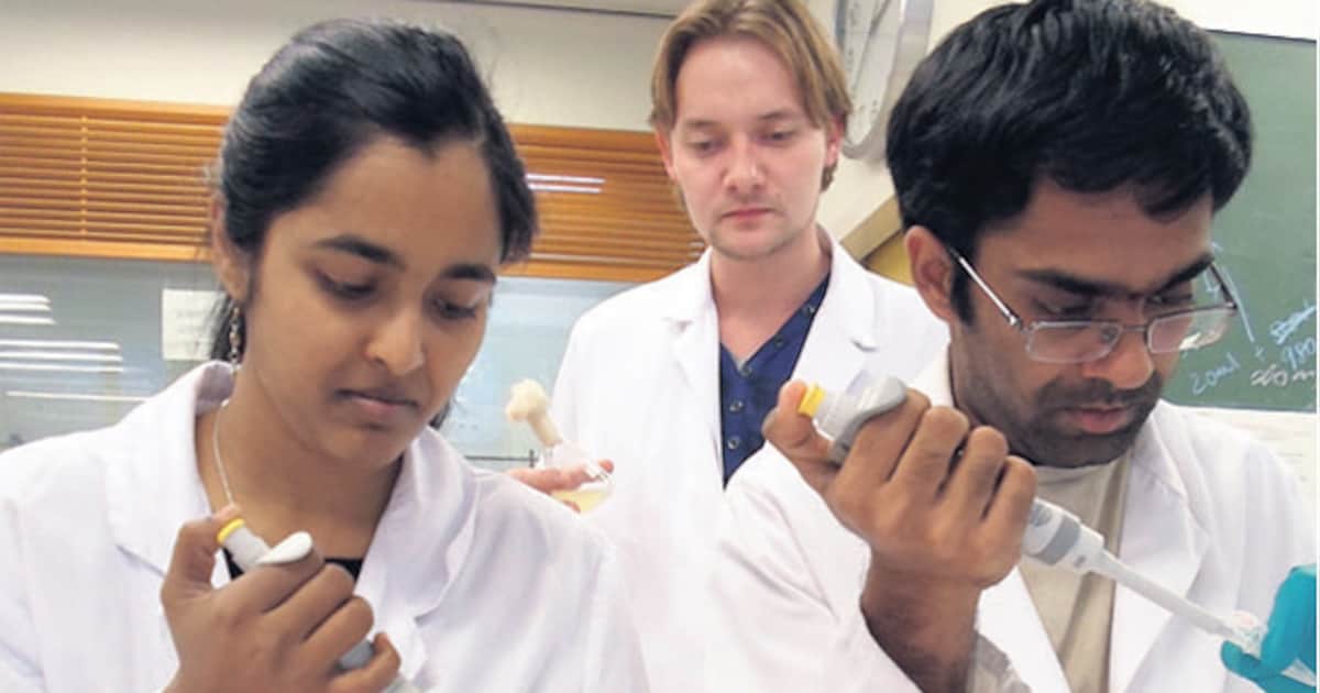 Kikker oplossing in bestrijding MRSA-bacterie | Nieuws | AD.nl