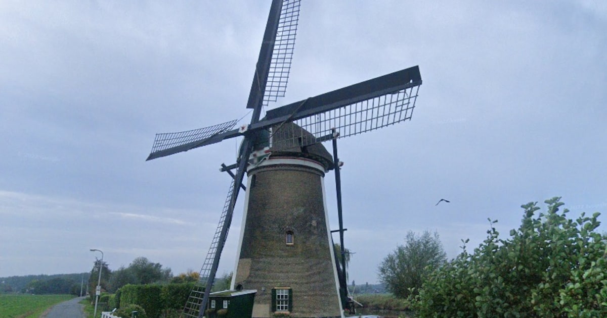 Kooijwijkse molen viert restauratie met open dag en minicursus