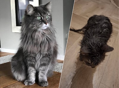 Image related to the article