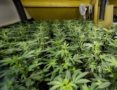 Image related to the article