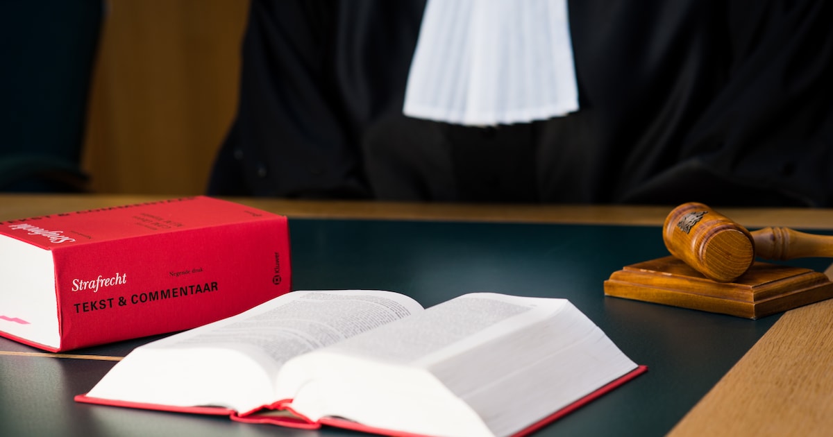 Moordverdachte uit Mûnein wil behandeling en niet naar de gevangenis: rechter gaat er niet in mee