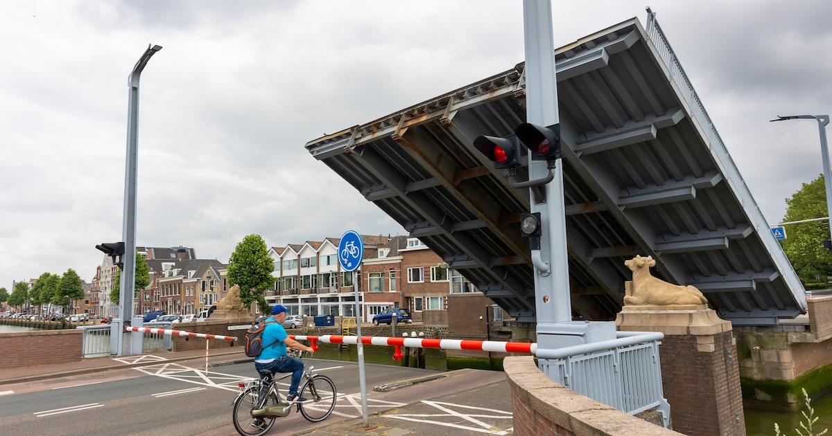 Koepaardbrug in Maassluis krijgt nieuw ontwerp
