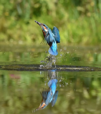 Lentewandeling op Veluwezoom in Velp