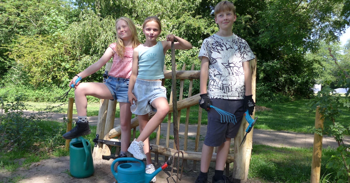 Kinderen uit Hoogland starten crowdfunding voor natuurtuin: ‘We willen niet dat bijen uitsterven’