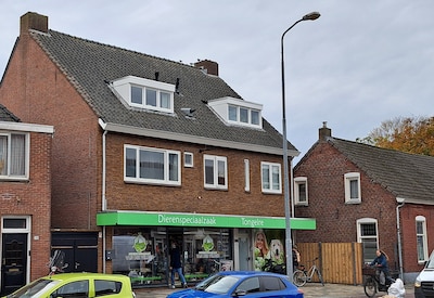 Image related to the article