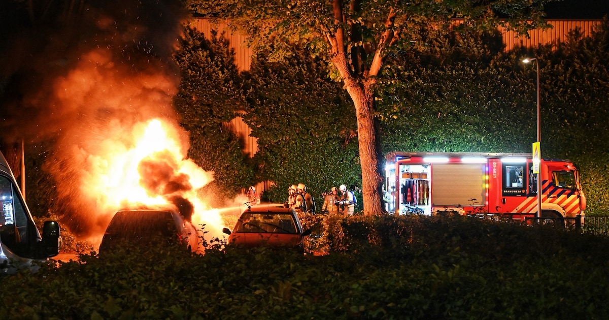 Twee auto's verwoest door brand in Leerdam