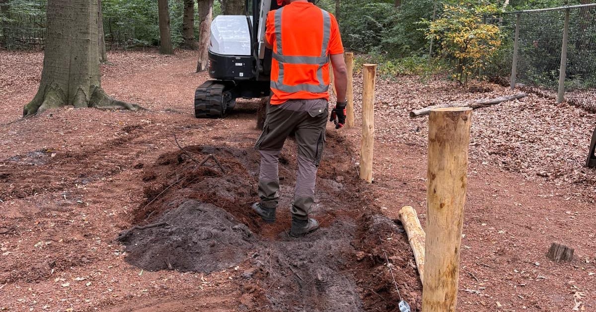 Rechter verbiedt tot nader order aanleg dassenrasters in Oude Tempelbos Soesterberg