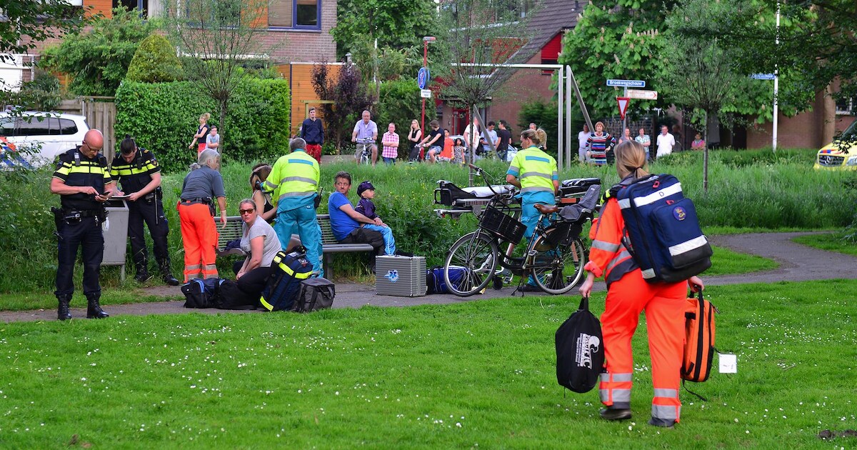 'Waarom doet iemand zoiets?'