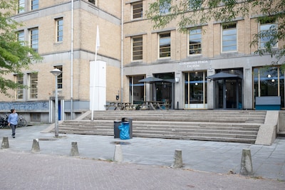 Image related to the article