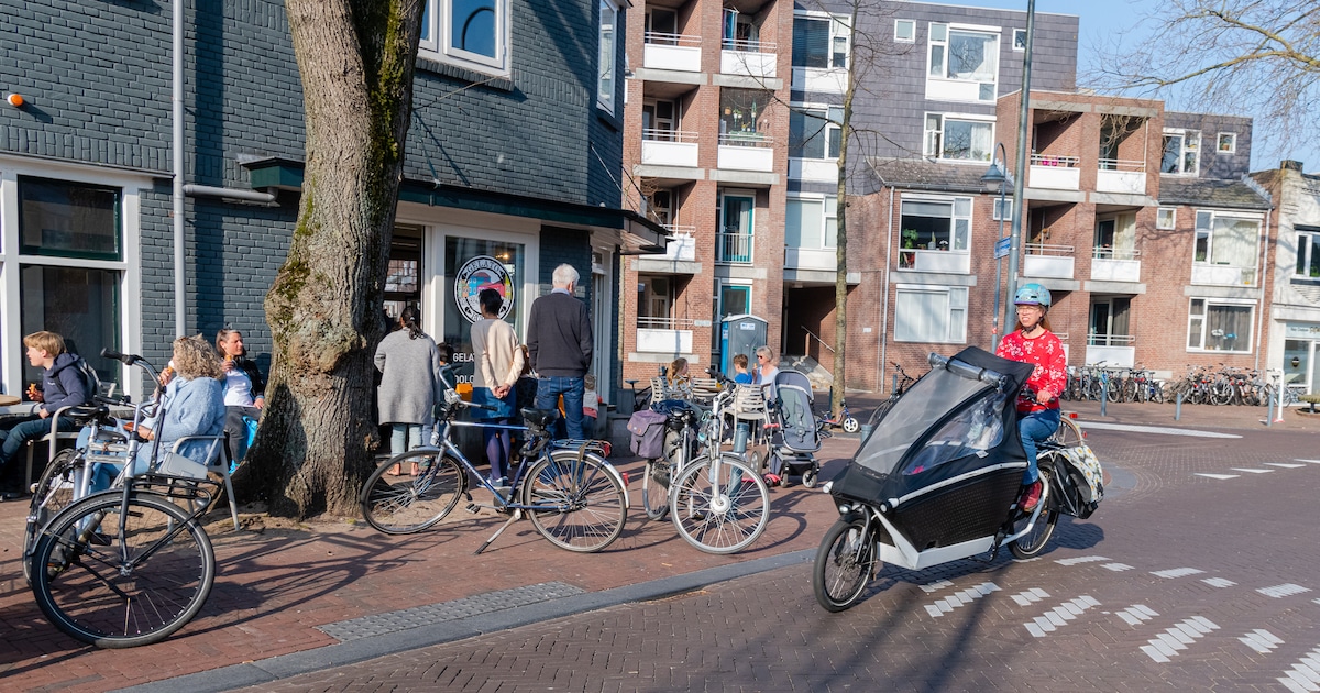 De Bilt werkt aan nieuw parkeerbeleid; moet de gemeente het gebruik van de auto ontmoedigen?
