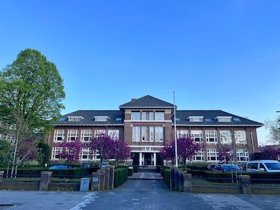 Image related to the article