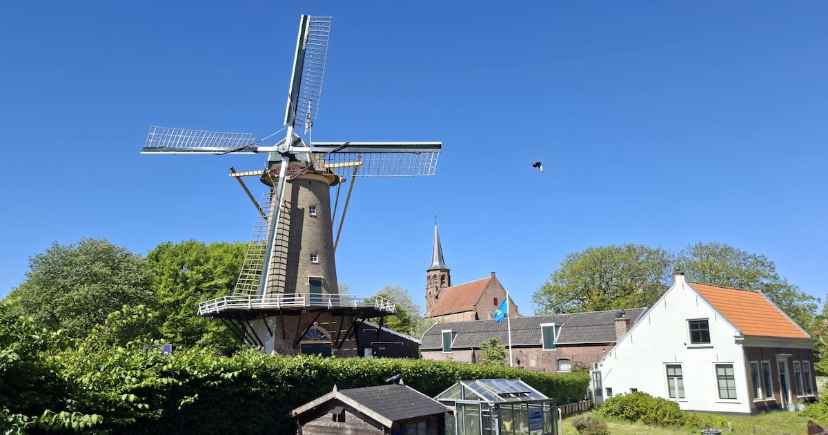 Bij deze molen in Den Haag mag je binnenkort binnenkijken