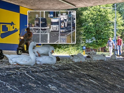 Image related to the article