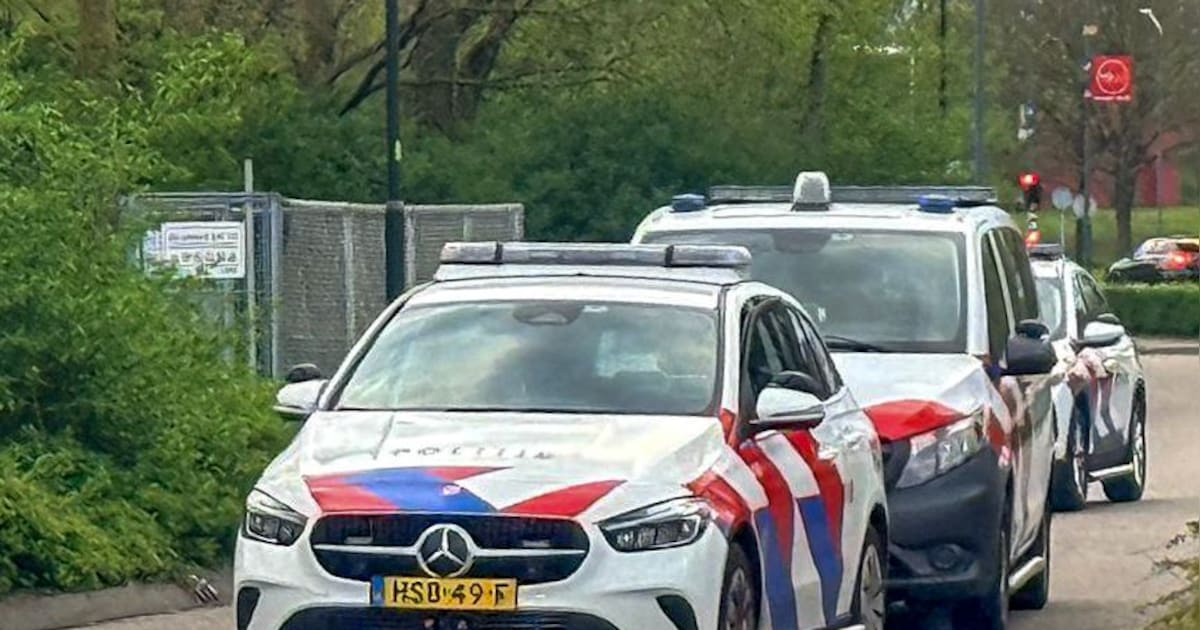 Man met steekwapen bij McDonald's in Helmond overmeesterd door politie