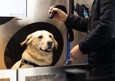 Eerste hondenwasstraat geopend in parkeergarage Scheveningen: ‘Shampoo en droger aanwezig’